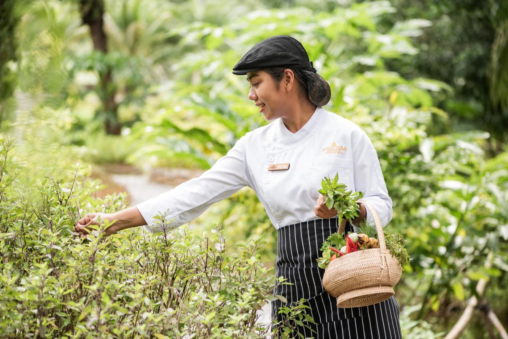 Anantara Koh Yao Yai Resort & Villas Ko Yao Yai Ngoại thất bức ảnh